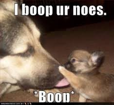 boop-your-nose